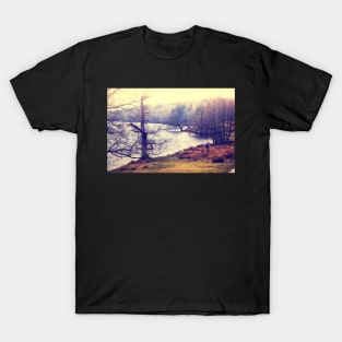 Mist at the Lake T-Shirt